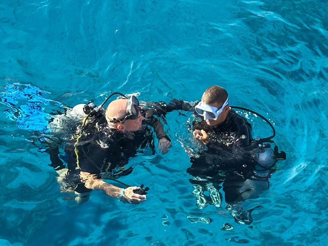 VIP Diving College-沙姆沙伊赫必去景点