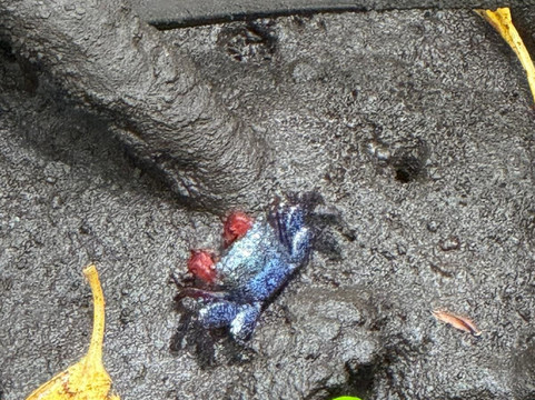 ZANZIWORLD TOURS-桑给巴尔岛必去景点