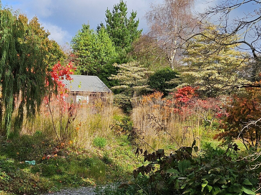 Wiley At Wildside-Tavistock必去景点