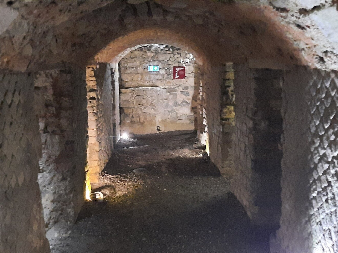 Visiter l’Horreum-纳博讷必去景点