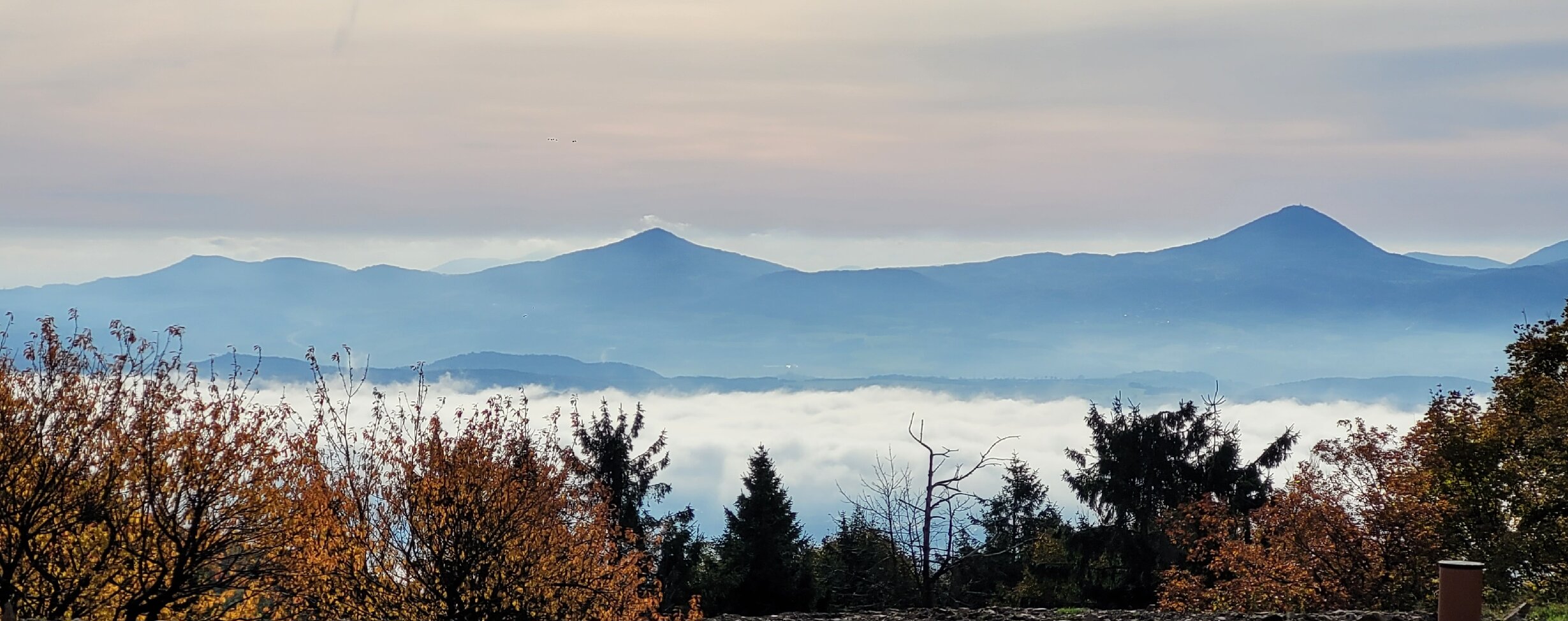 Hotel Zum Baren-官方
