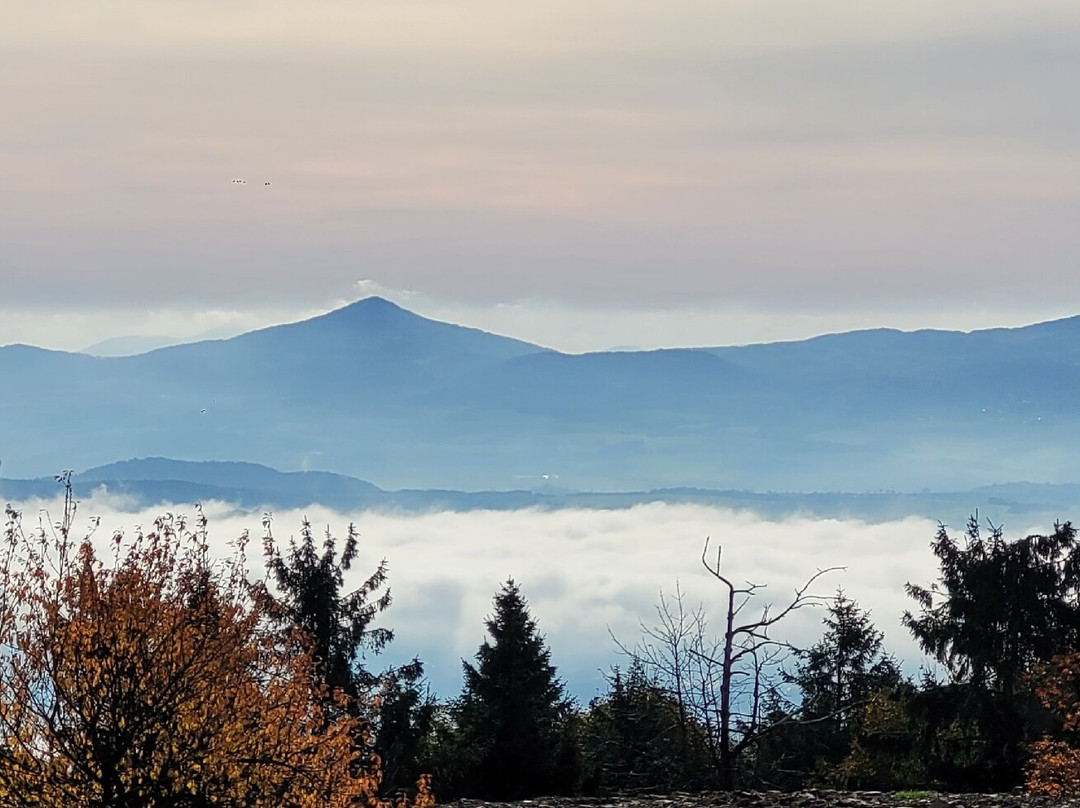 Hotel Zum Baren主图