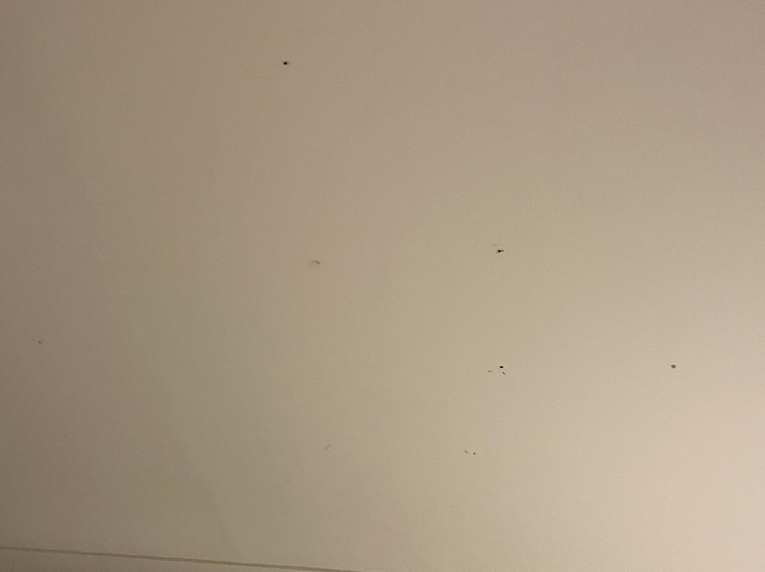 Maldron Hotel Tallaght主图