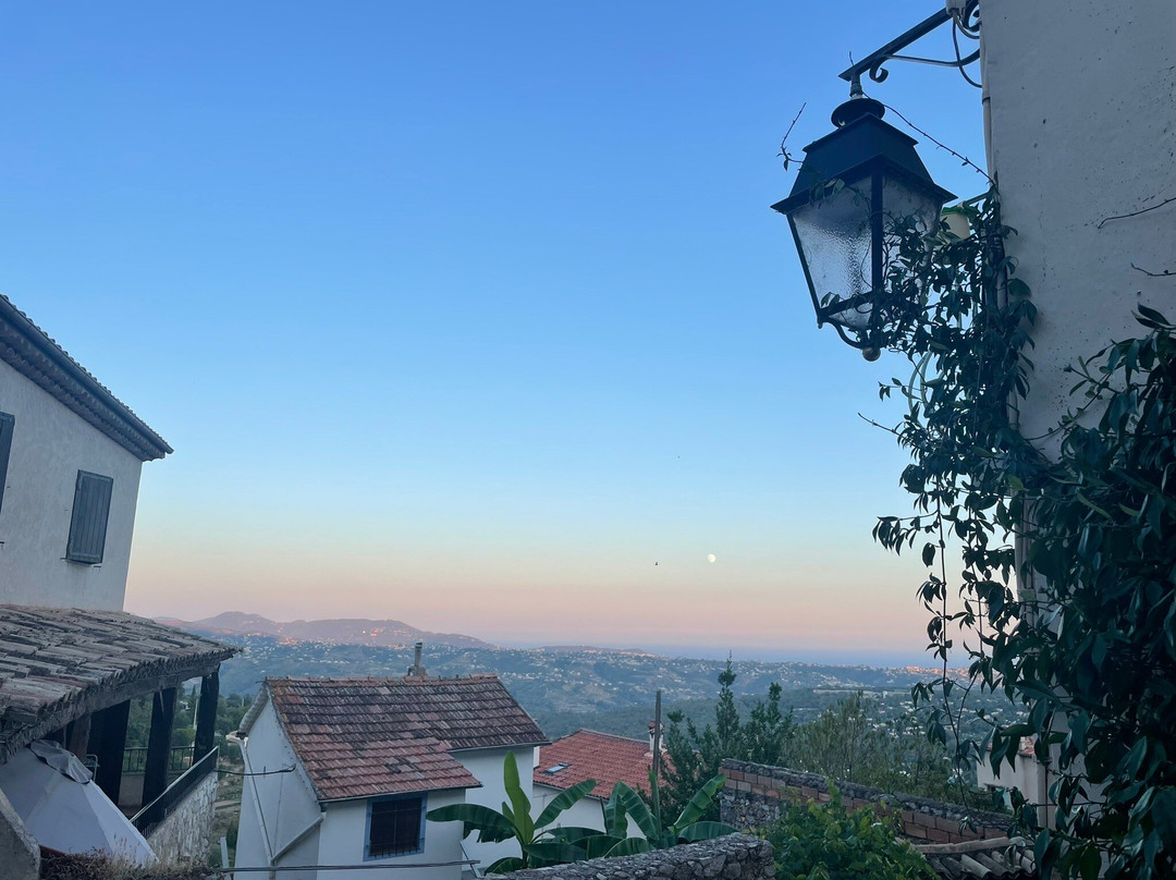 The Frogs' House主图