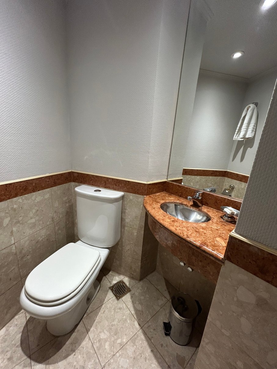 Holiday Inn 科尔多瓦-浴室