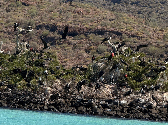 MIKA TOURS-拉巴斯必去景点