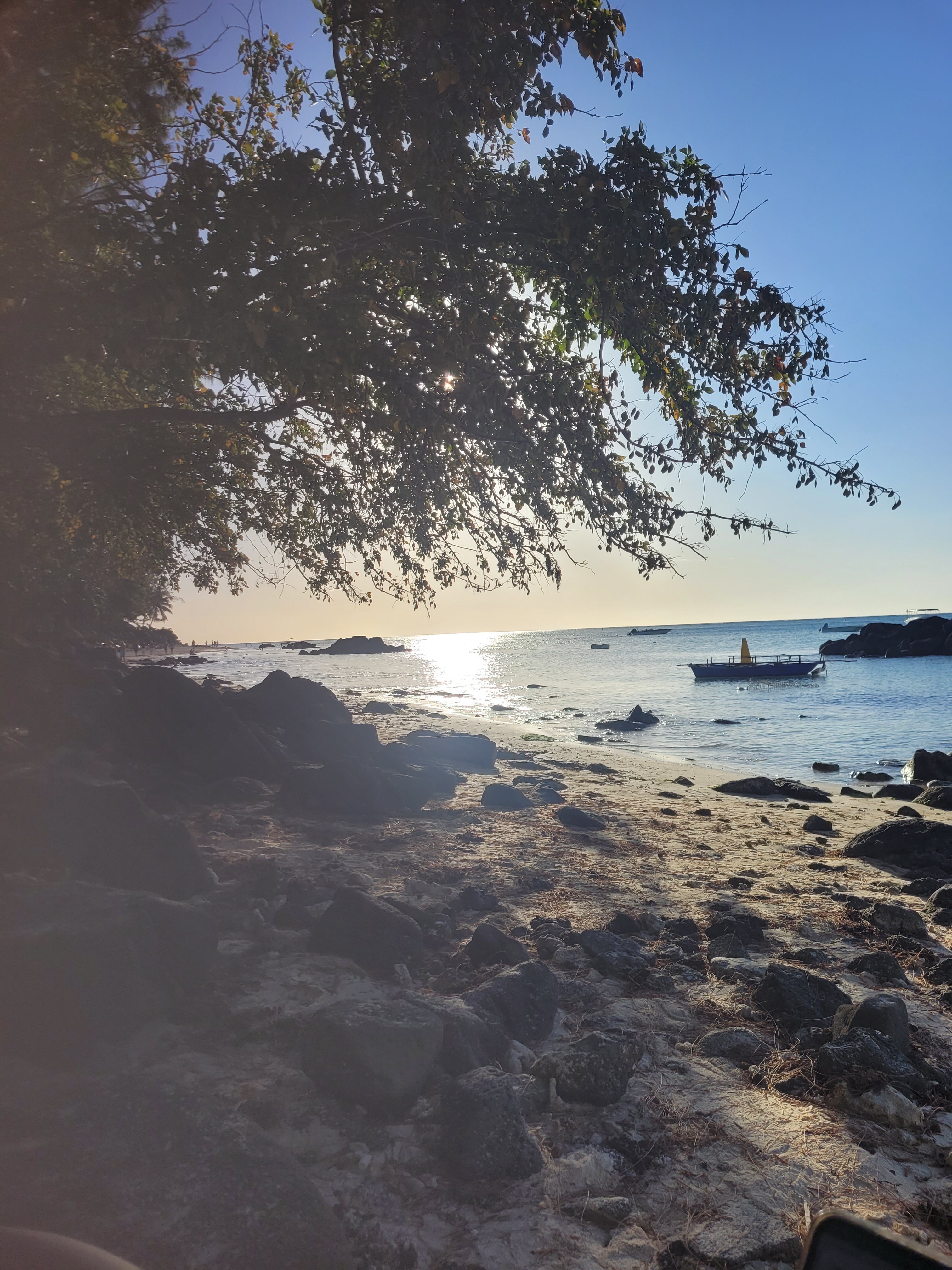 碧海蓝天大酒店-官方