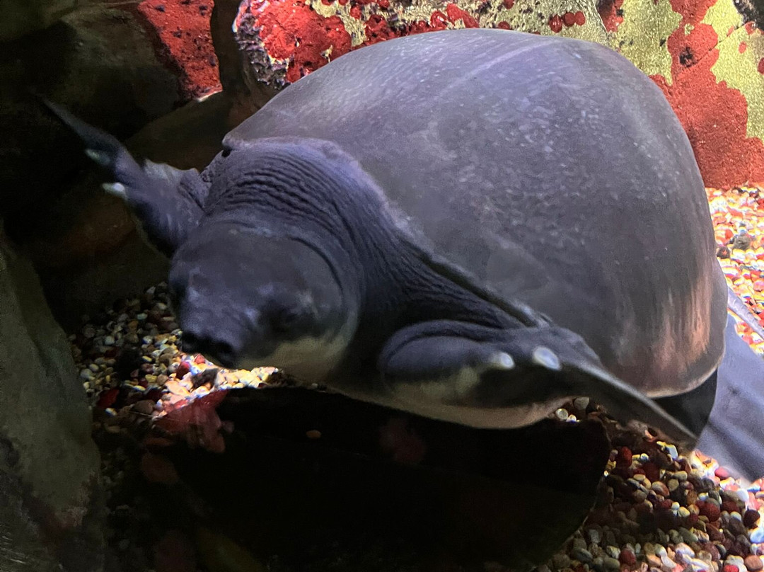 Hastings Aquarium-海斯廷斯必去景点