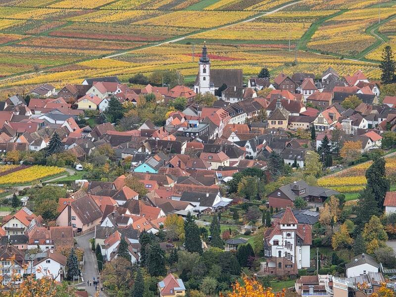 Rietburgbahn-Edenkoben必去景点