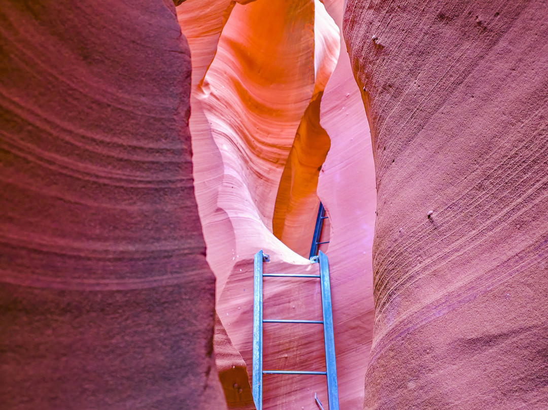 Black Streak Canyon Tours-佩吉必去景点