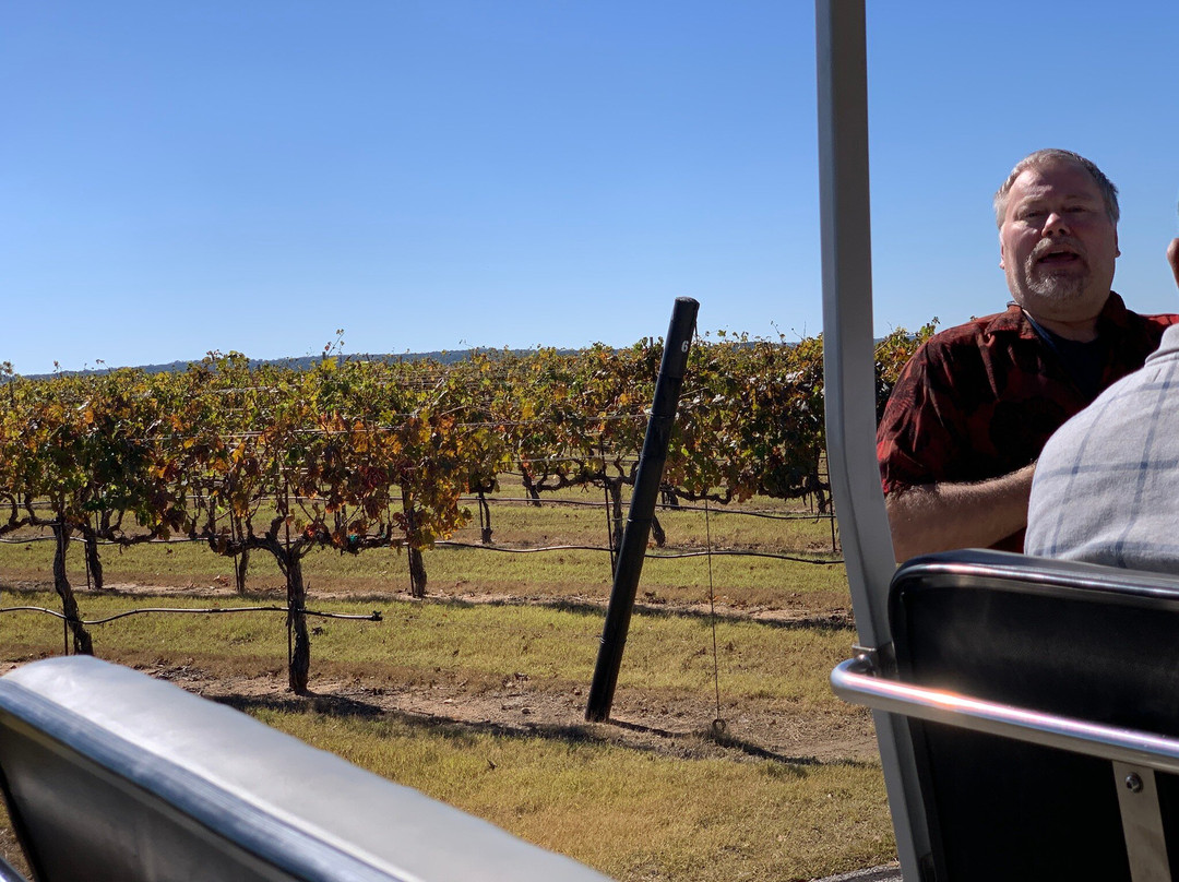 Grape Creek Vineyards Fredericksburg-弗雷德里克斯堡必去景点