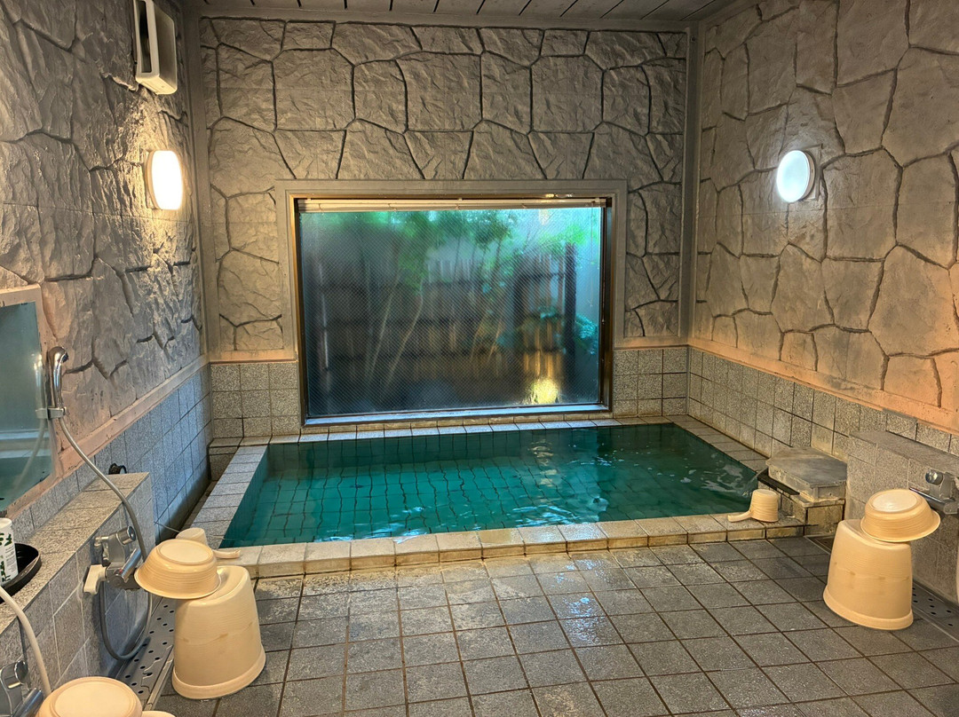 Isesaki Natural Hot Springs Hana Hotel Isesaki