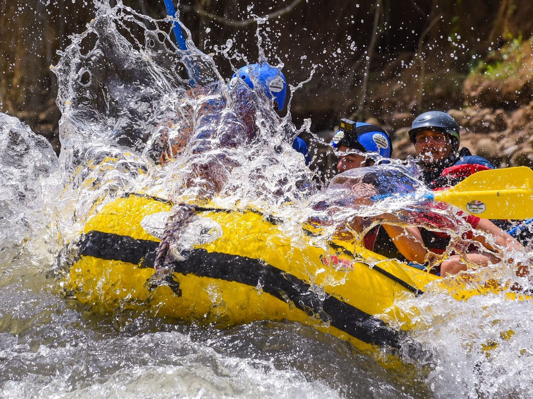 Travel Monkey Costa Rica