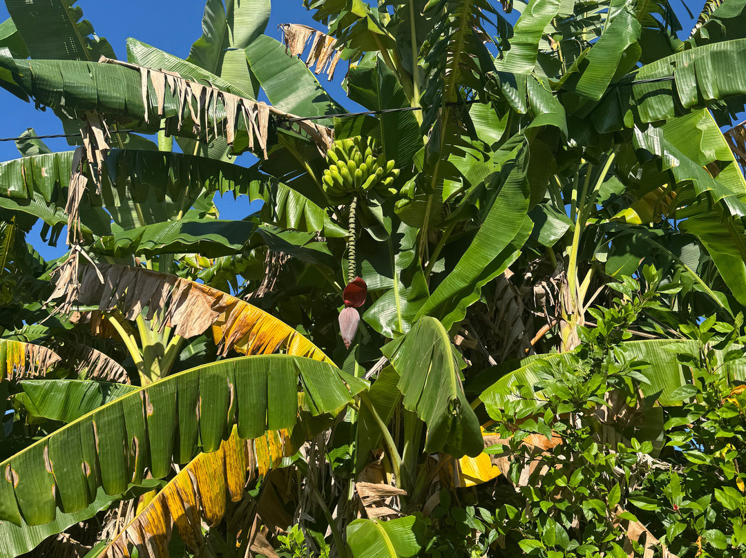 Authentic Tour Delivery-null必去景点