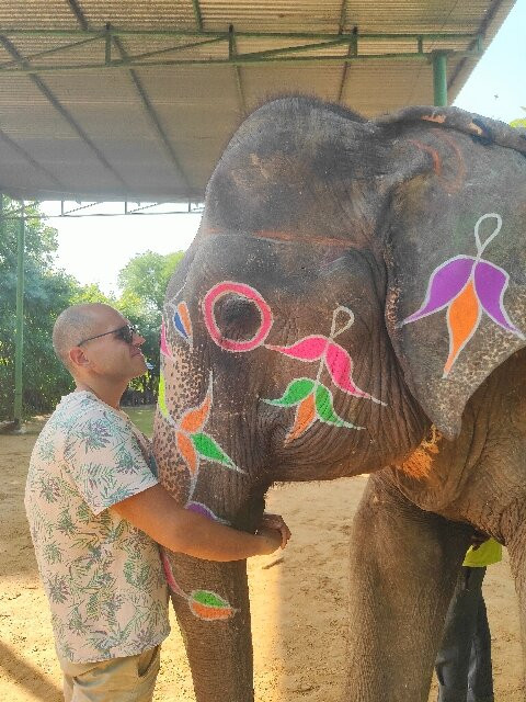 EleSafari-Amer必去景点