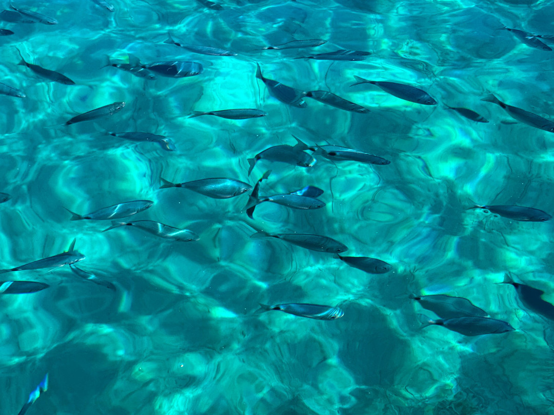 Sunrise SUPer SUP Experience Golfo Aranci-Golfo Aranci必去景点