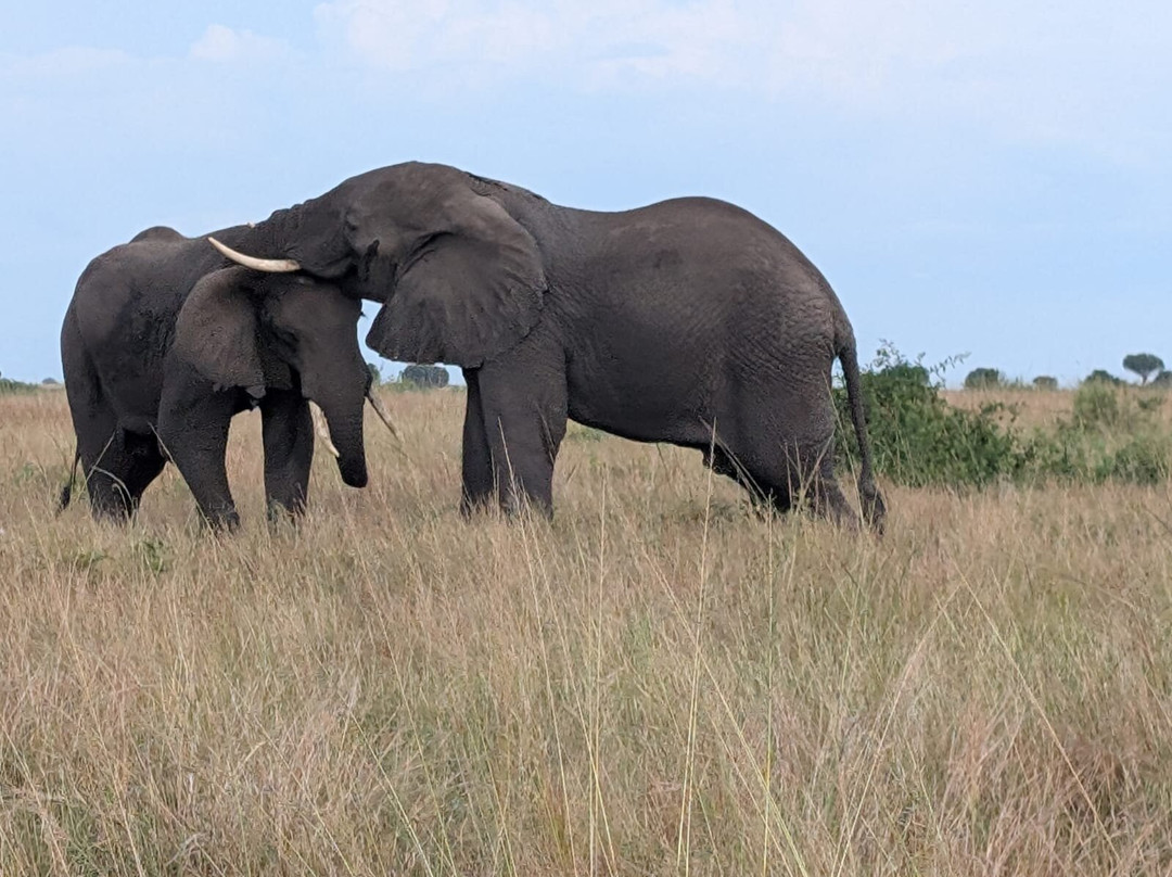 Katona Tours and Travel-吉佳利必去景点