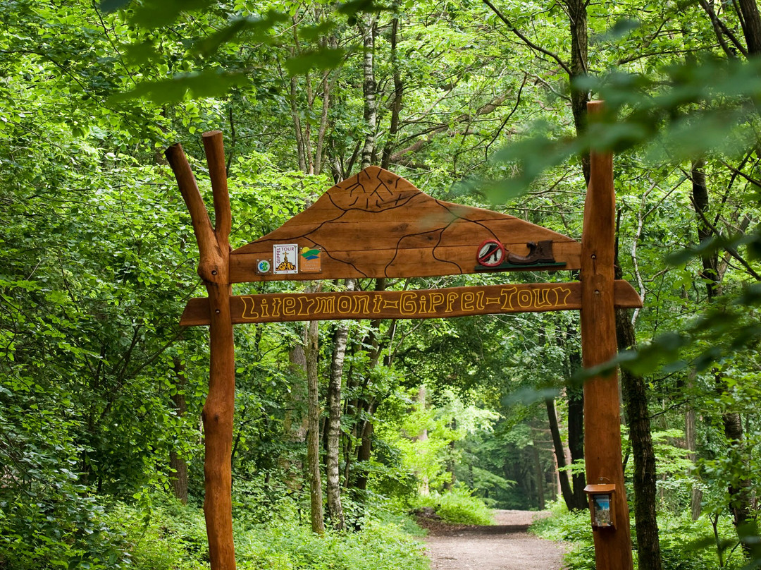 Litermont-Gipfel-Tour-Nalbach必去景点