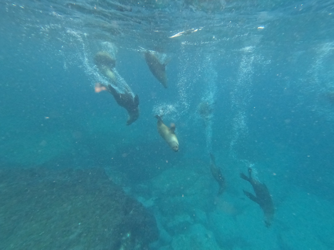 Woebegone Freedive-赫斯基森必去景点