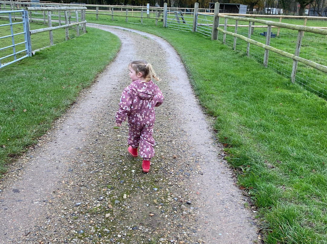 Blackberry Farm Park-刘易斯必去景点