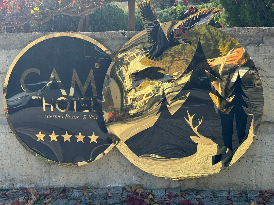 Çam Thermal Resort & Spa Hotel主图