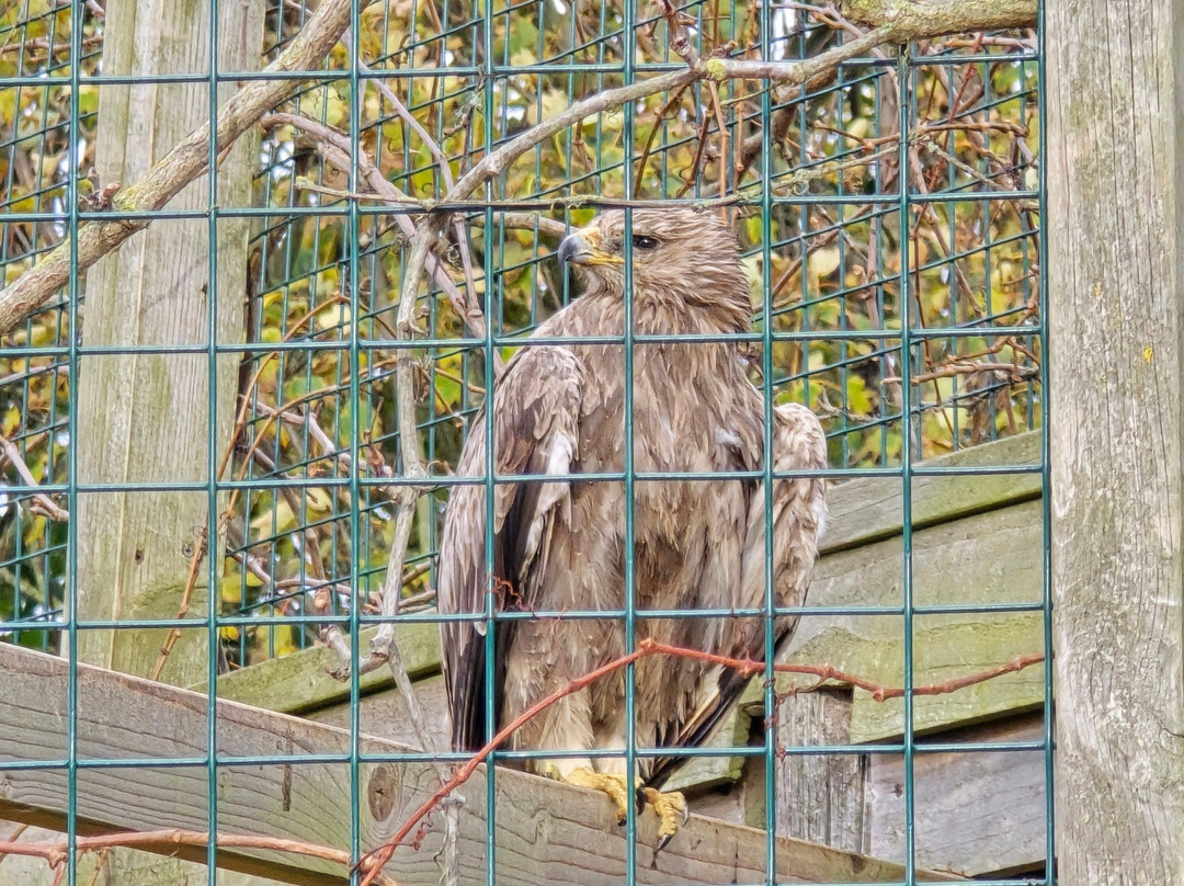 Mablethorpe Seal Sanctuary and Wildlife Centre-Mablethorpe必去景点