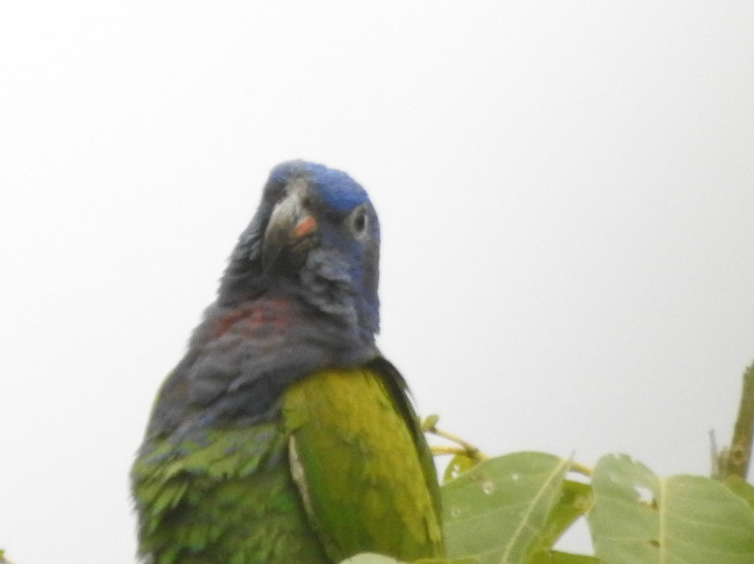 Hacienda El Paraíso-El Cerrito必去景点