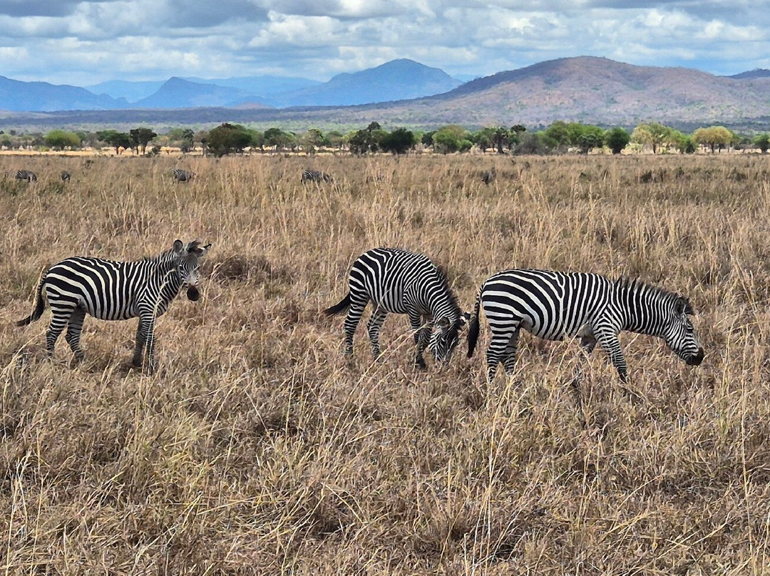 NICE ADVENTURE SAFARI-Dar es Salaam必去景点