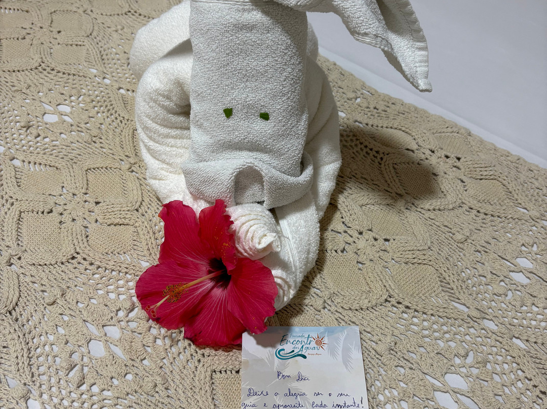 Pousada Encontro das Águas主图