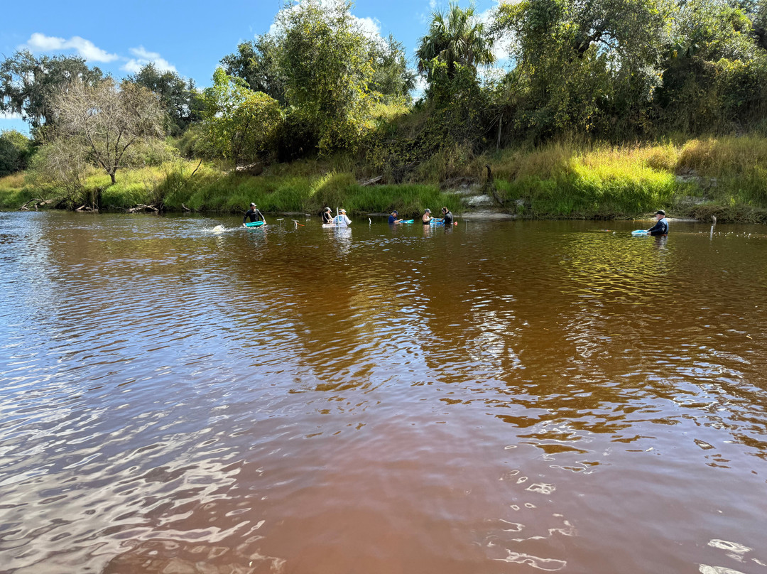 Fossil Junkies, Llc-Alva必去景点