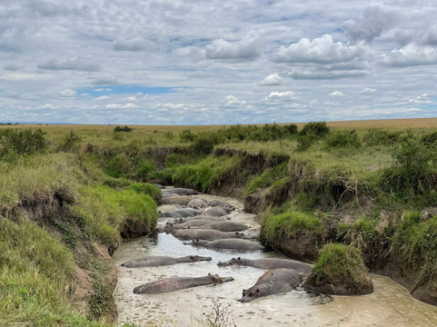 Sunworld Safaris-内罗毕必去景点