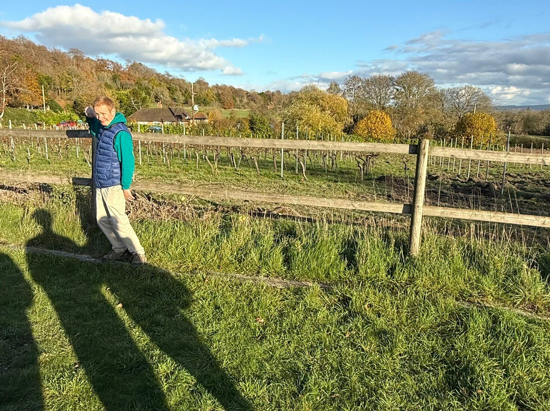 Greyfriars Vineyard-Puttenham必去景点