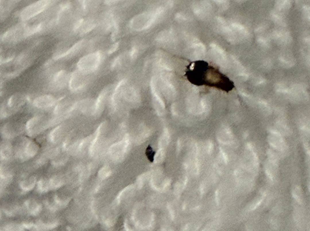 Comfort Suites Milledgeville主图