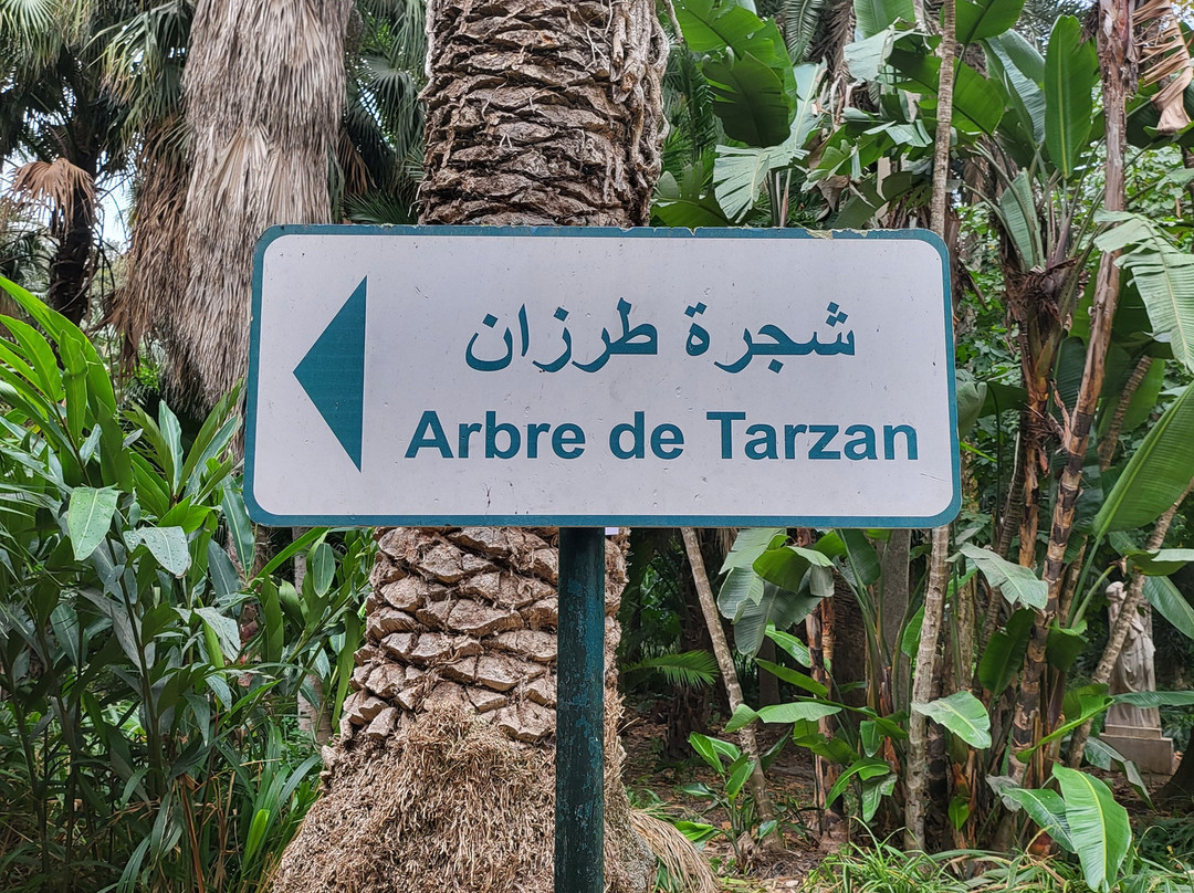 Centre Commercial Bab Ezzouar-阿尔及尔必去景点