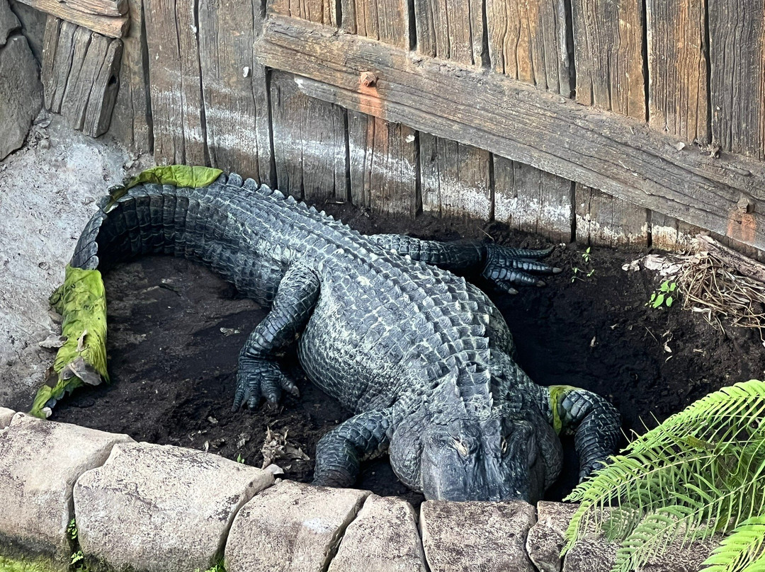 Terre de Dragons-Civaux必去景点
