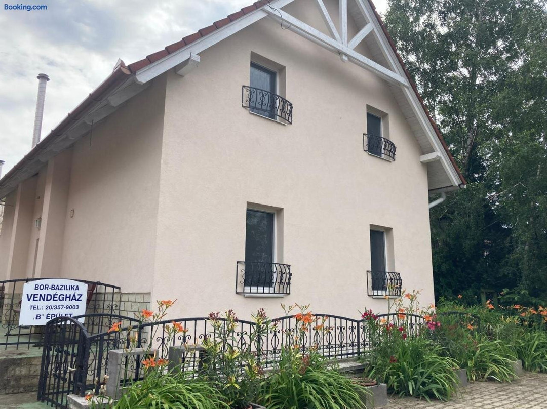 Bor-Bazilika Panzio主图