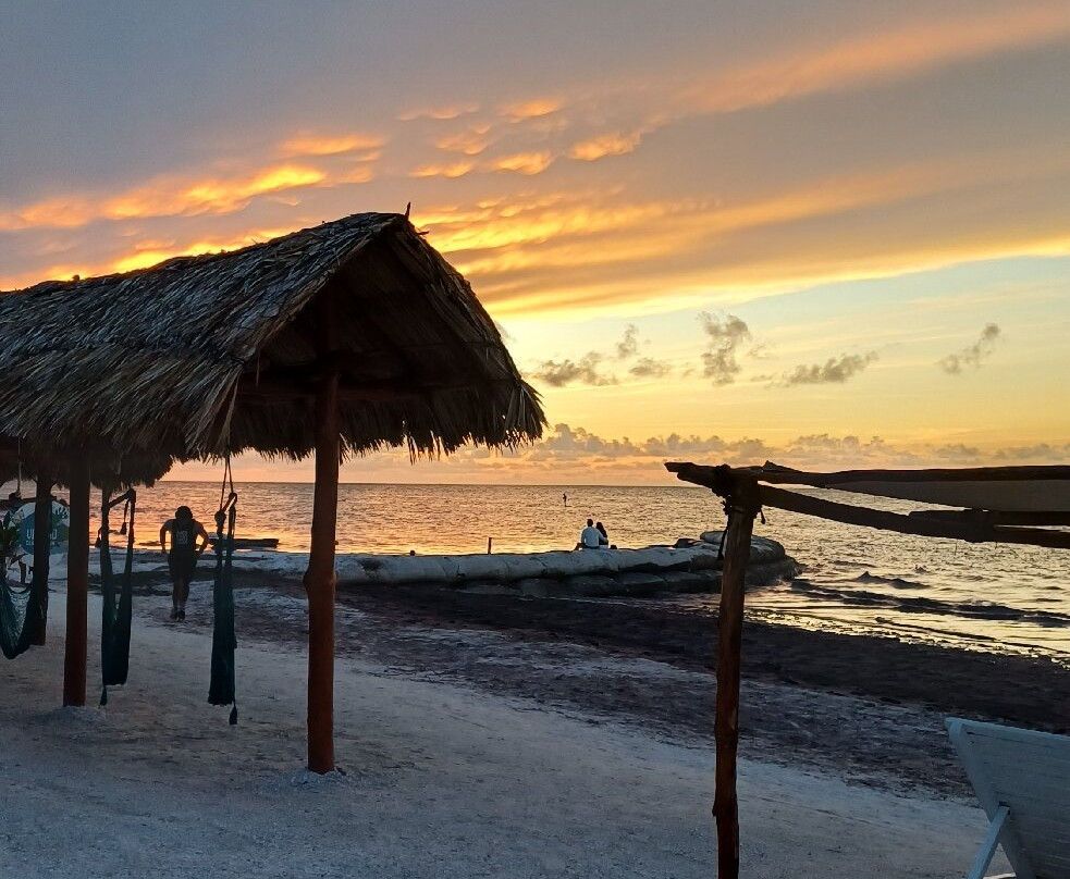Puerto Holbox主图