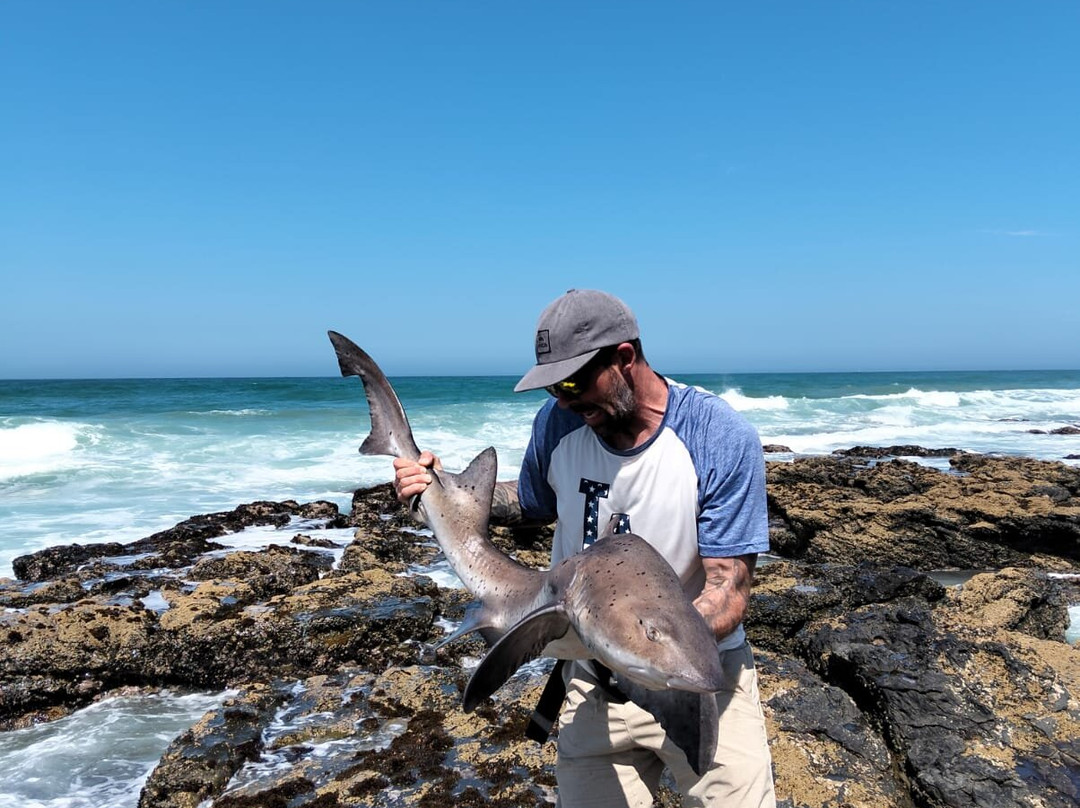 Gam's Charters-贝隆布尔必去景点