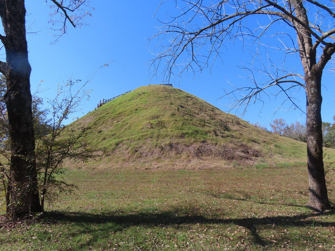 Pinson Mounds State Park-Pinson必去景点