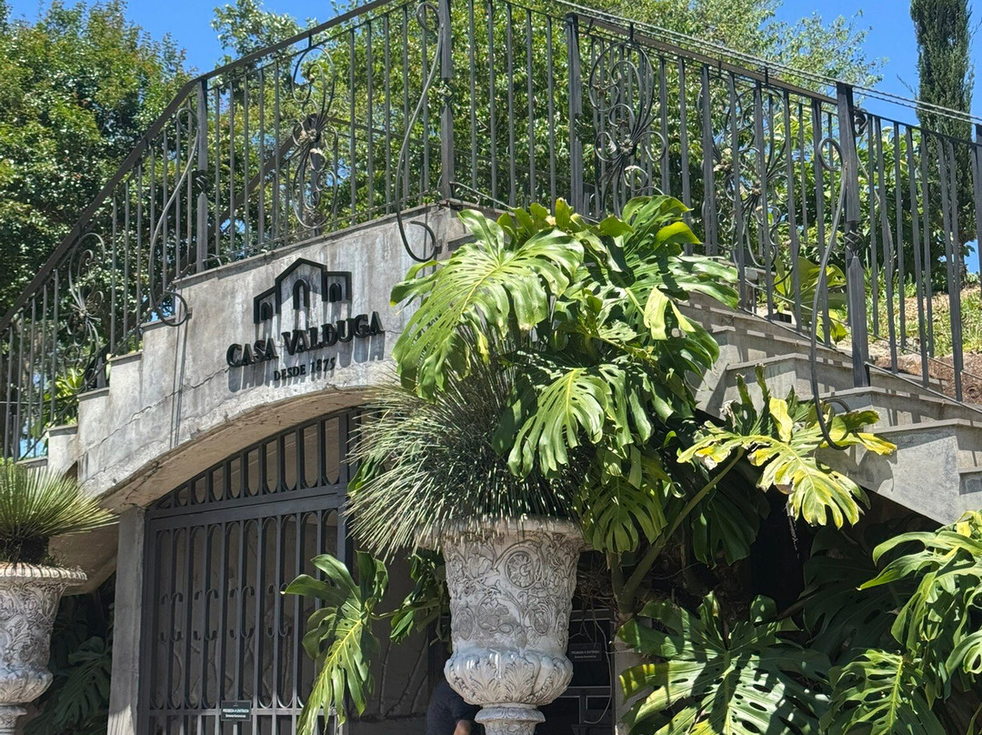 Casa Valduga Winery-本图贡萨尔维斯必去景点