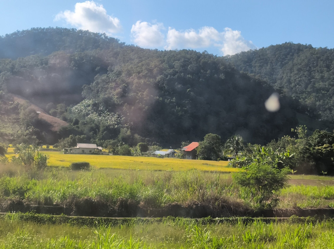 Karen Tribe Native Elephant-清迈必去景点