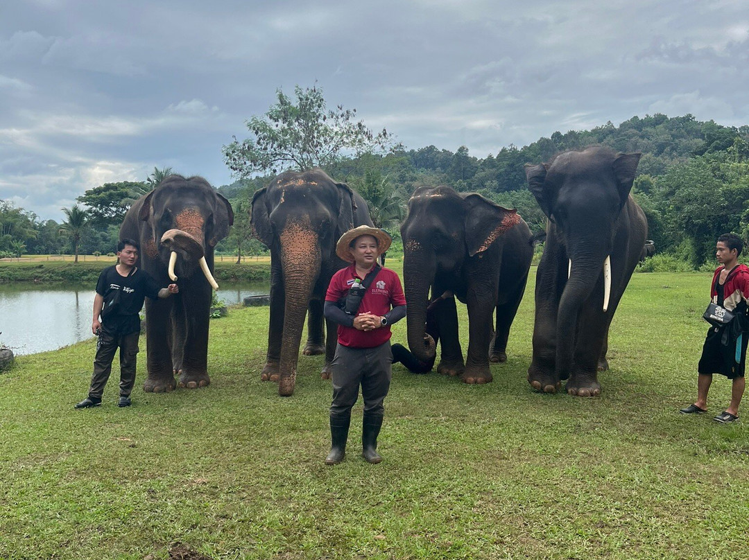 大象生态公园-清迈必去景点