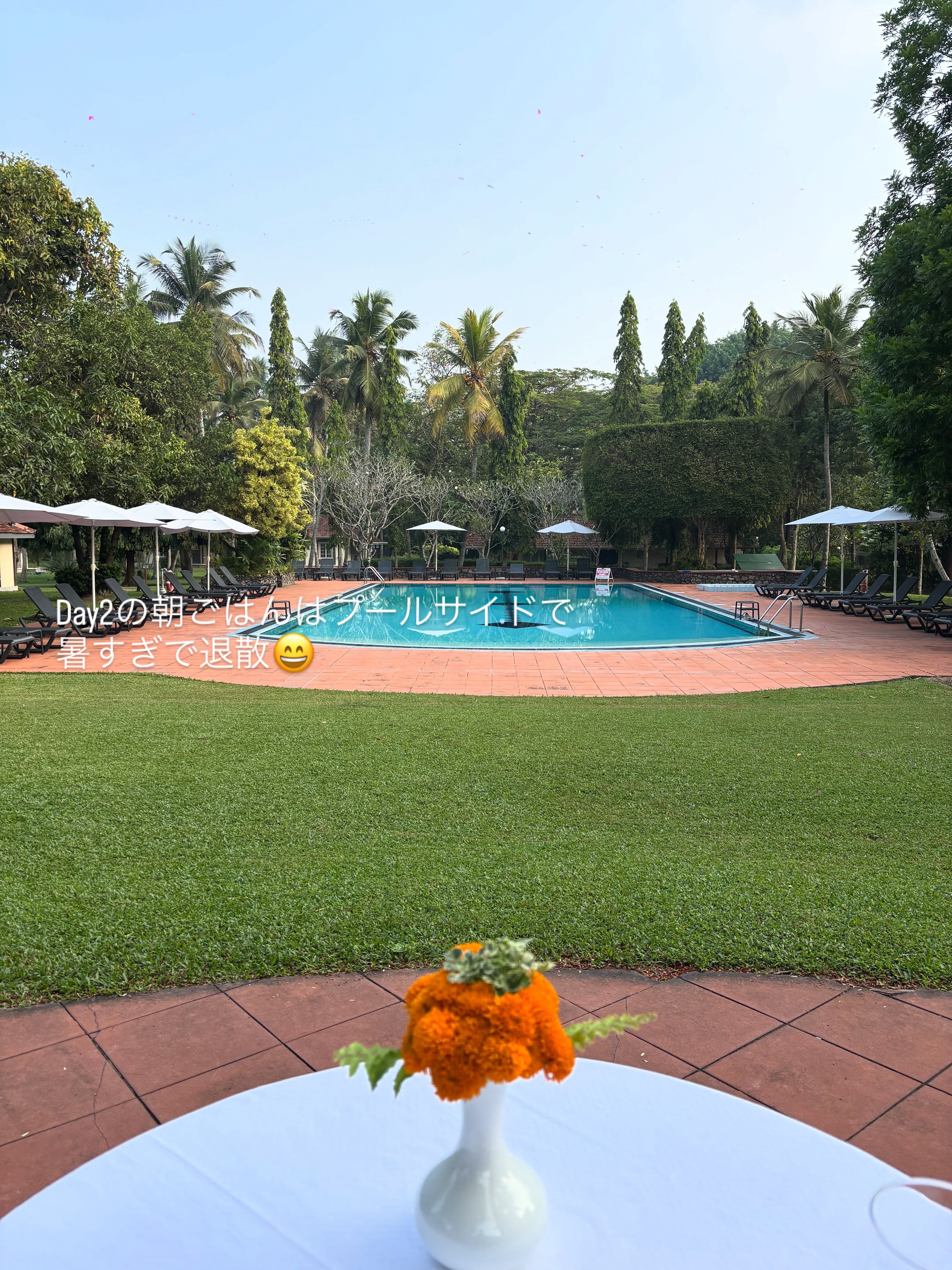 塔玛林德树酒店-官方