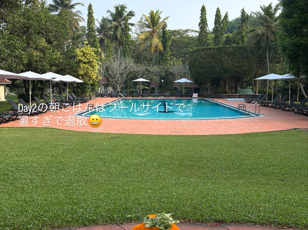 塔玛林德树酒店主图