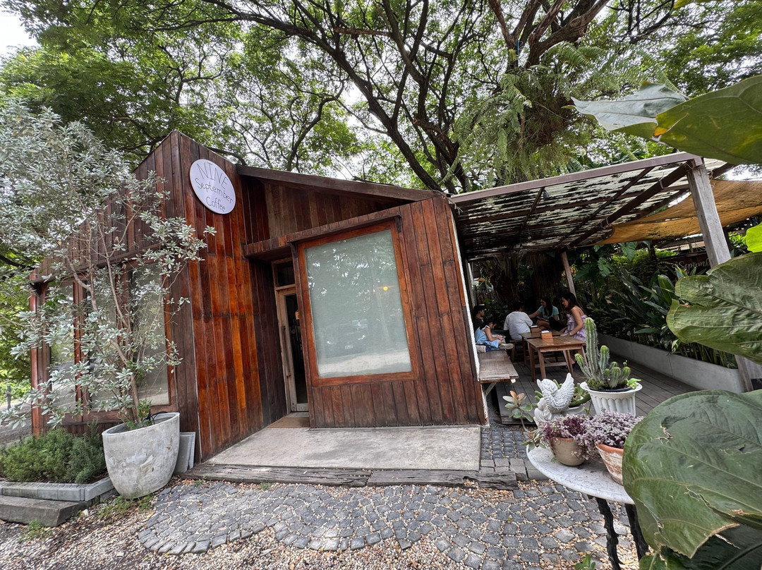 9th September Eat Drink Tree