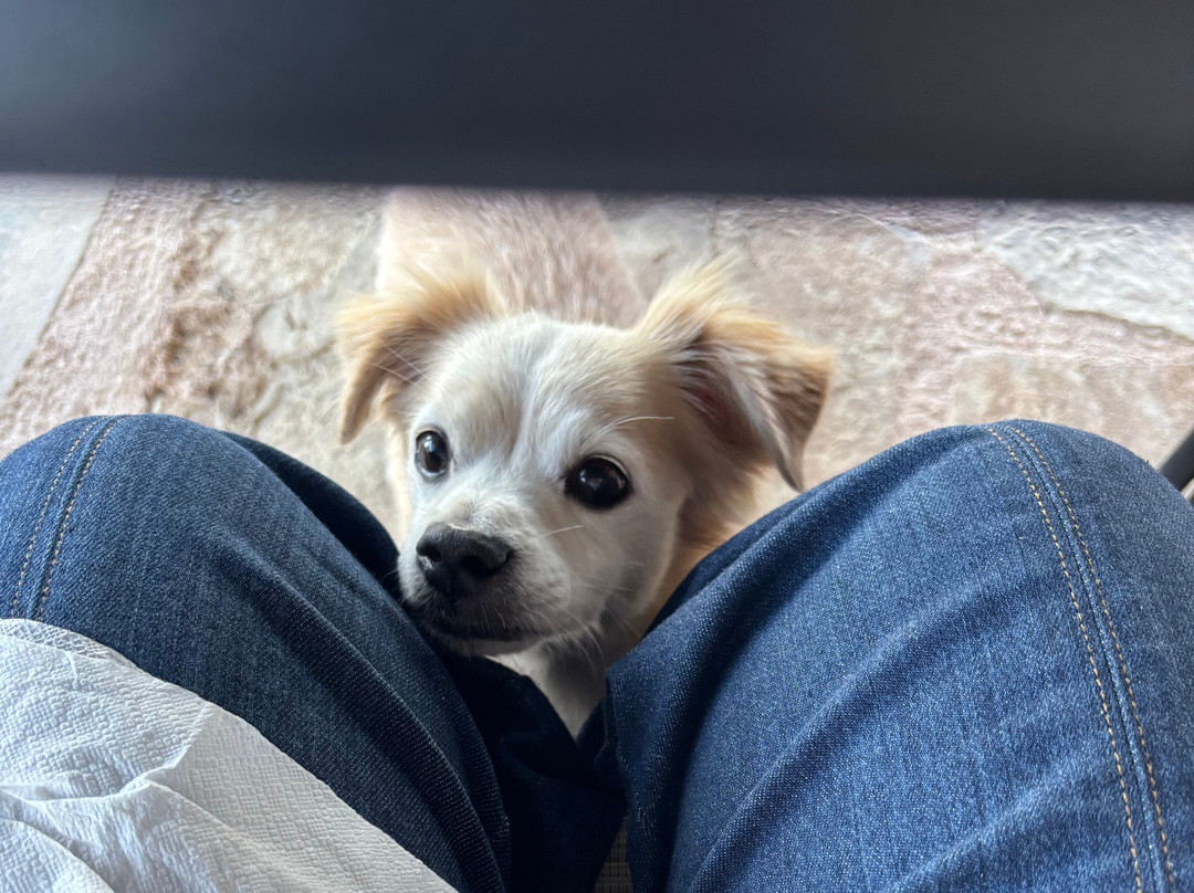 Domaine Paterianakis-伊拉克利翁必去景点