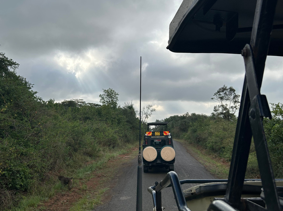 DISCOVERY OUTDOORS KENYA-Langata必去景点