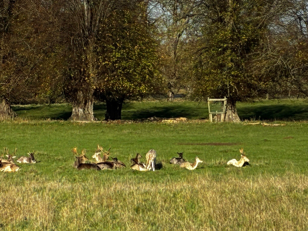 National Trust - Charlecote Park-沃里克必去景点
