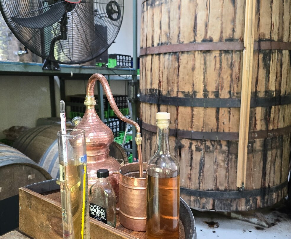 Doña Josefa de Elqui - Pisco Artesanal-Pisco Elqui必去景点