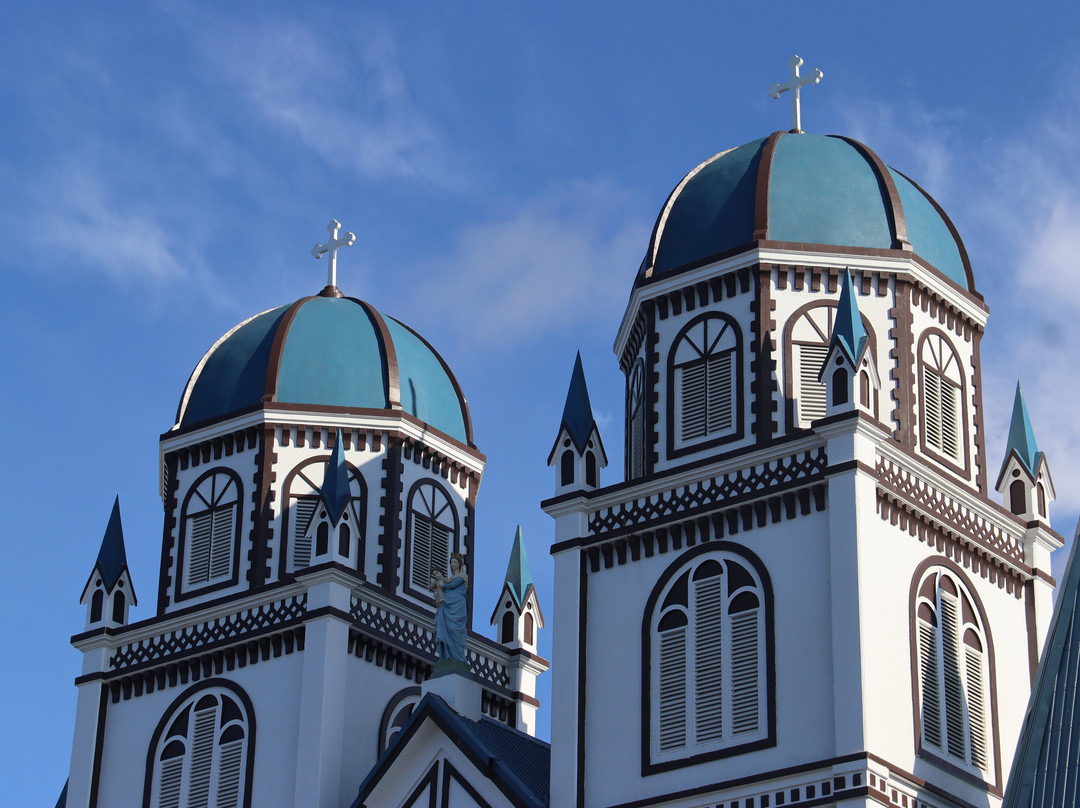Immaculate Conception Cathedral-阿皮亚必去景点